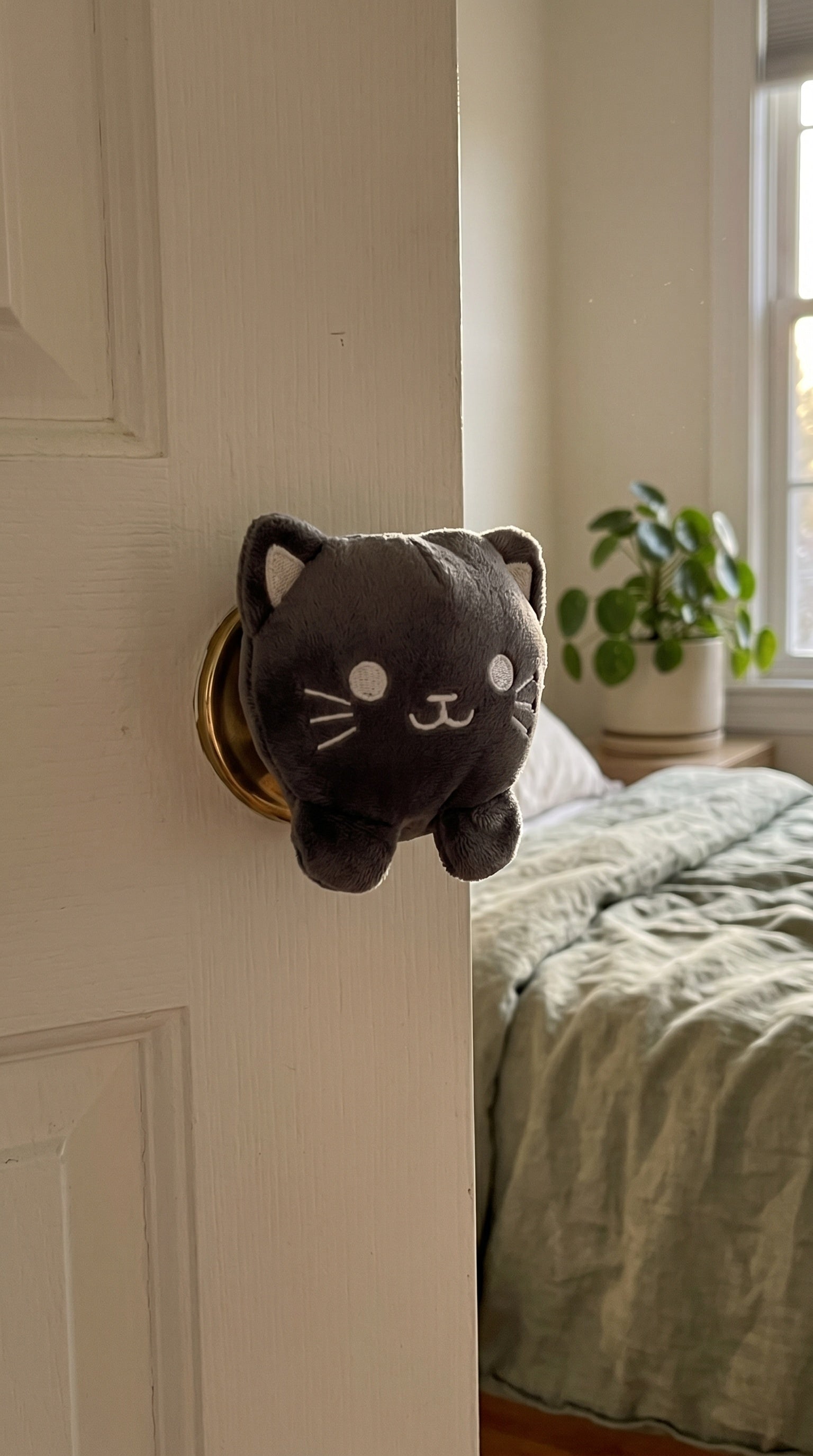 Customer with a Cute Futures cat cover installed on a door